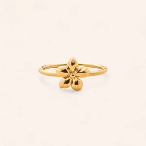 C976K00-Bague-PRUDENCE-Plaque-or-1